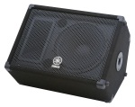 BR-12M Passive PA Monitor Speaker Enclosure