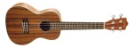 CK-C Conert Curly Koa Uke
