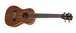 LU-22CLK AIMM Concert Limited Edition Uke