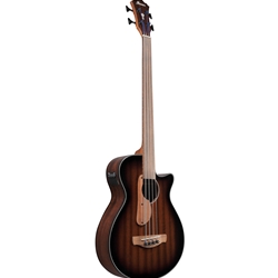 Ibanez AEGB24FE Fretless Acoustic/Electric Bass Guitar