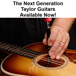 Taylor Next Generation Guitars