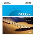 D'Addario Acoustic Bass Phosphor Bronze String Set; EPBB170