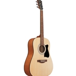Ibanez IJV-50 Acoustic Guitar Jampack
