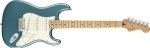 Fender Player Stratocaster MN Electric Guitar
