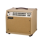 Mesa/Boogie Rosette 300 / One:Ten Acoustic Guitar Amplifier