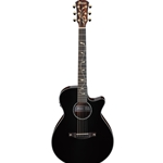 Ibanez AEG Series Acoustic/Electric Guitar; AEG550