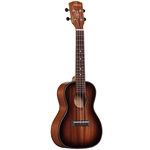 Alvarez Artist AU66C Concert Ukulele