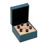 Taylor Custom Water Buffalo Bone Bridge Pin Set