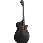 Ibanez AEG Series Black-Out 6-String Acoustic/Electric Guitar