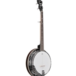 Ibanez 250th US Anniversary Banjo