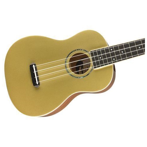 Hugo Helmer Music, Inc. - Fender Zuma Classic Aztec Gold Special