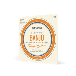 D'Addario EJ61 5-String Banjo Strings, Nickel, Medium 10-23