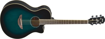 Hugo Helmer Music, Inc. - Yamaha APX-600 Thinline Acoustic