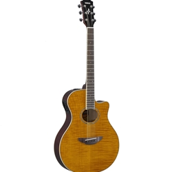 Hugo Helmer Music, Inc. - Yamaha APX-600 Flame Maple Top Acoustic