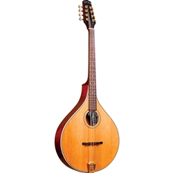 Gold Tone OM-800+ Octave Mandolin