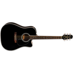 Takamine EF341DX Legacy Series Acoustic/Electric Guitar