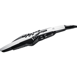 Roland AD-20 Digital Wind Instrument