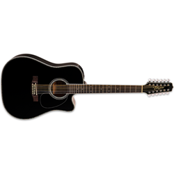 Takamine EF381DX Deluxe Legacy Series 12-String Acoustic/Electric Guitar