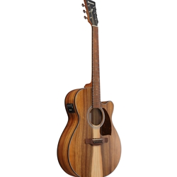 Ibanez PC50WSCE PF Performance Acoustic/Electric Guitar