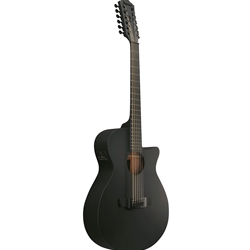 Ibanez AEG Series Black-Out 12-String Acoustic/Electric Guitar