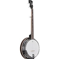 Ibanez 250th US Anniversary Banjo